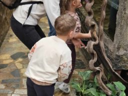 2025-05-20 Biedronki w ZOO